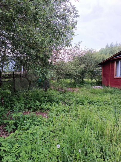 Дом 49 м² на участке 6 сот.