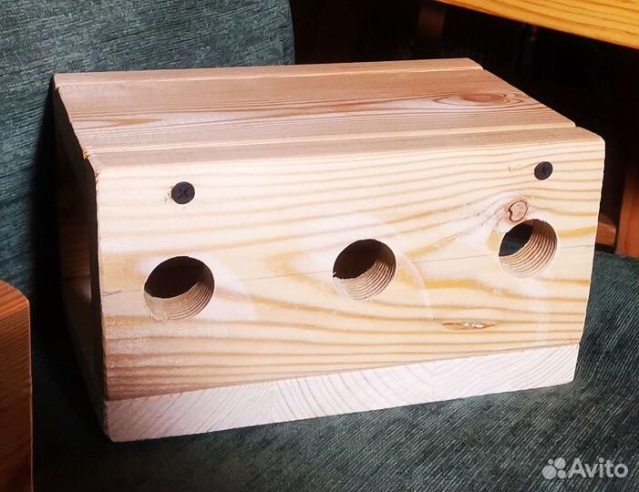 Дегу бесплатно