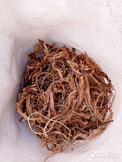 Лечебный, красный корень.Республика Алтай