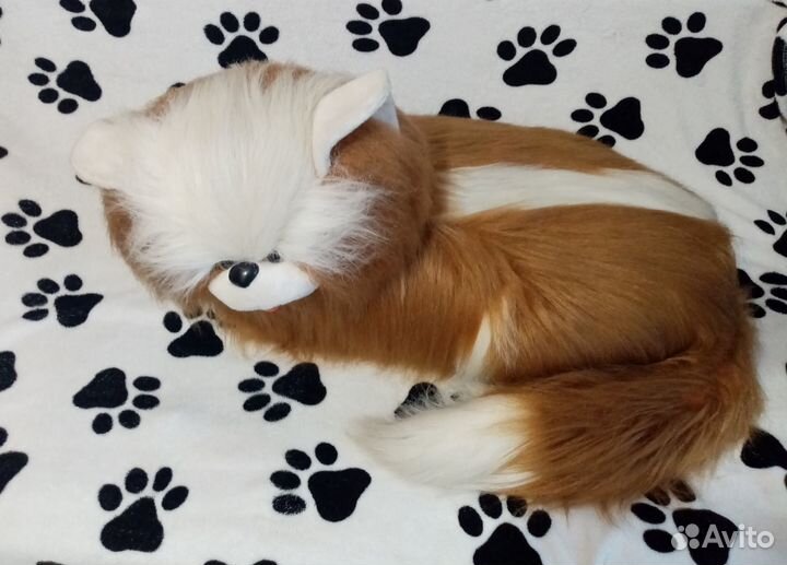 Гигантский кот для фотостудии