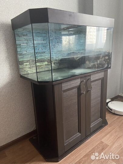 Террариум для красноухой черепахи