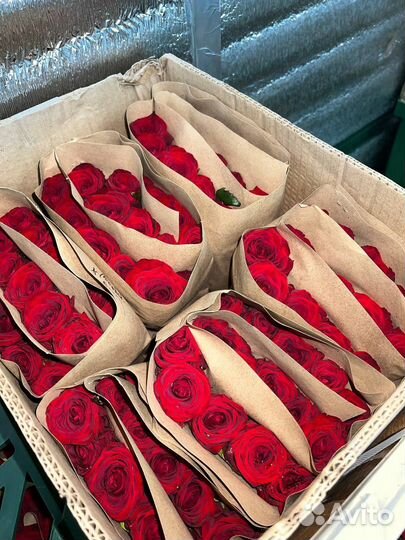 Букет свежих голландских роз