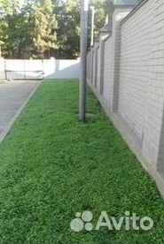 Укладка газона