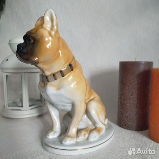 Фарфоровая статуэтка собака лфз Боксер