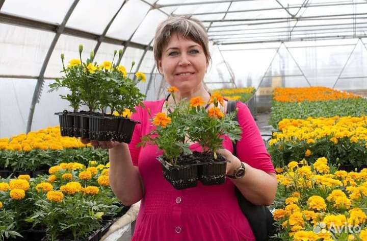 Помощница/помощник по хозяйству с проживанием