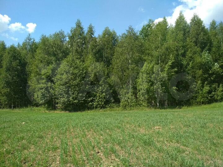 Участок 10 сот. (ИЖС)