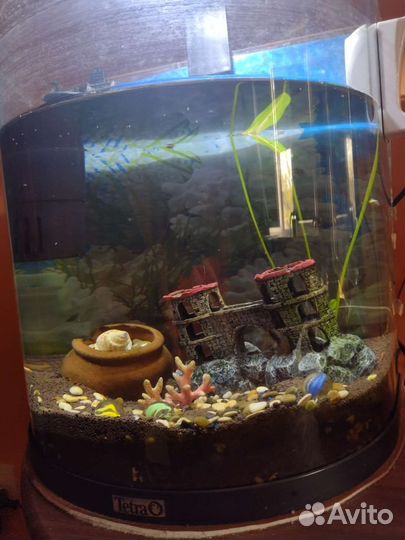 Аквариум tetra 30 литров