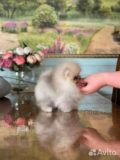 Супер мини девочка