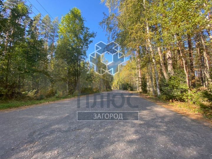 Участок 12,6 сот. (СНТ, ДНП)