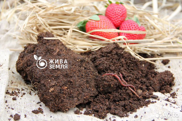 Грунт для грядок pH 6,5