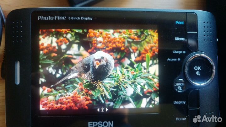 Epson Multimedia Storage Viewer P-2000