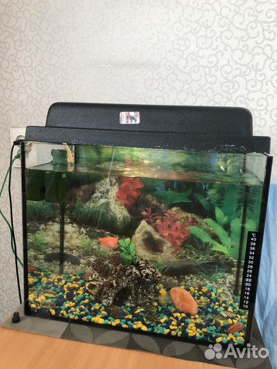 Аквариум