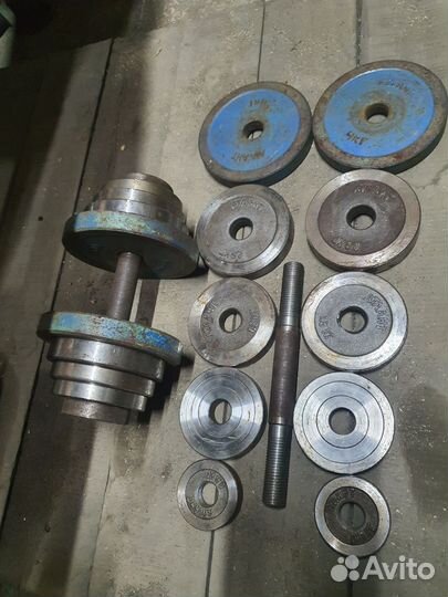 Штанга и гантели