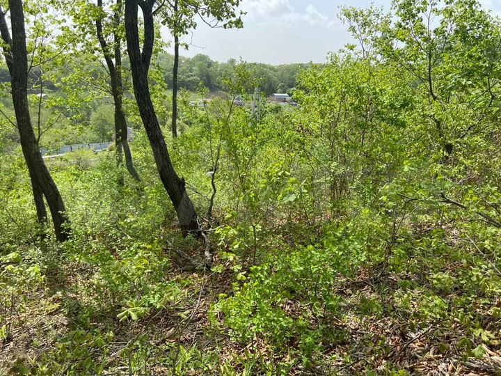 Участок 15 сот. (ИЖС)