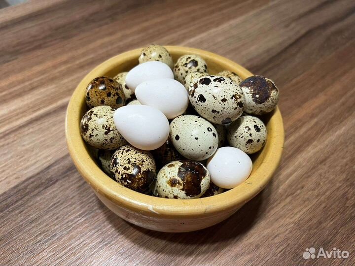 Яйца перепелиные домашние