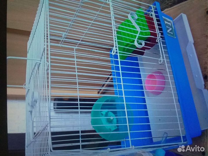 Клетка и многое дрррр