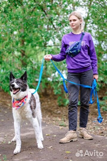 Тимон всю жизнь ждет человека