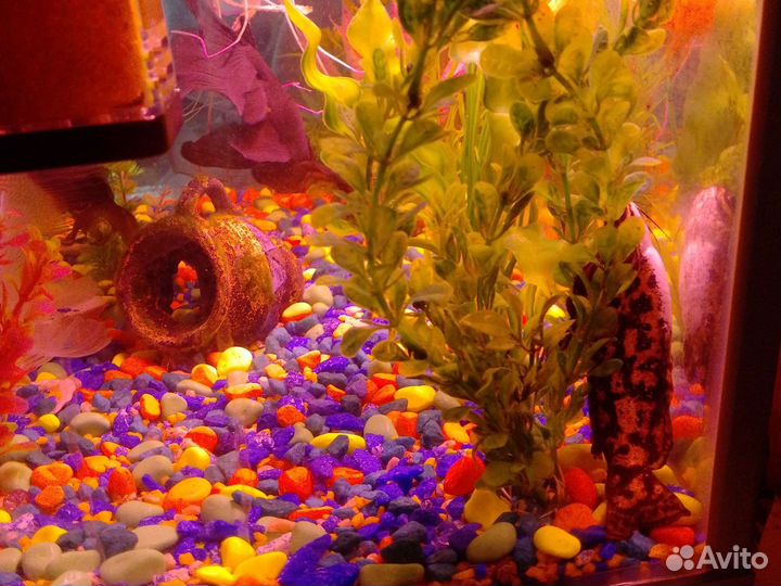 Украшение для аквариума