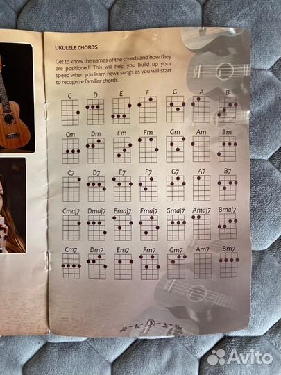 Укулеле flight