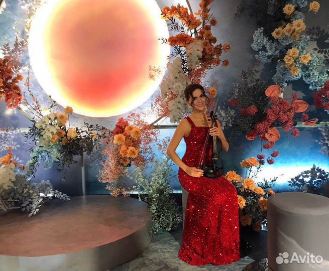 Скрипач на праздник, корпоратив живая музыка