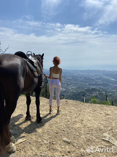 Конные Прогулки в сочи трансфер