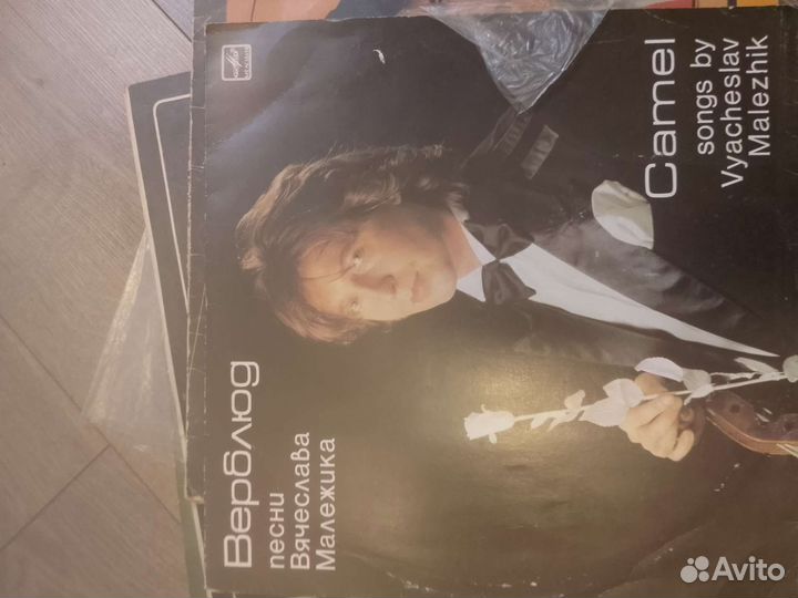 Виниловые пластинки