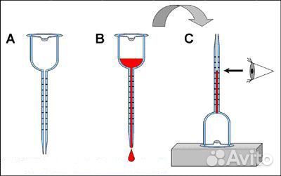 Виномер капиллярный