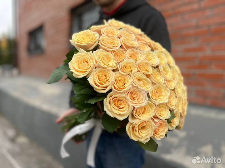 Розы Голландские свежие Букет 51 роза