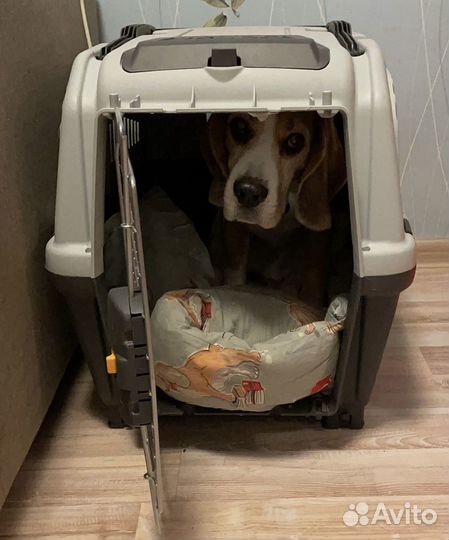 Переноска для средних собак Skudo 4