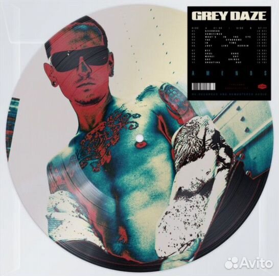 Grey daze - Amends (Picture lp)