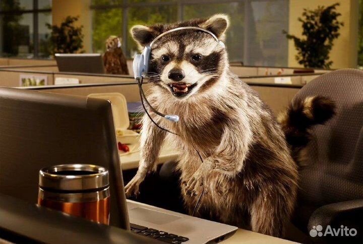 Оператор call-центра (менеджер по продажам)