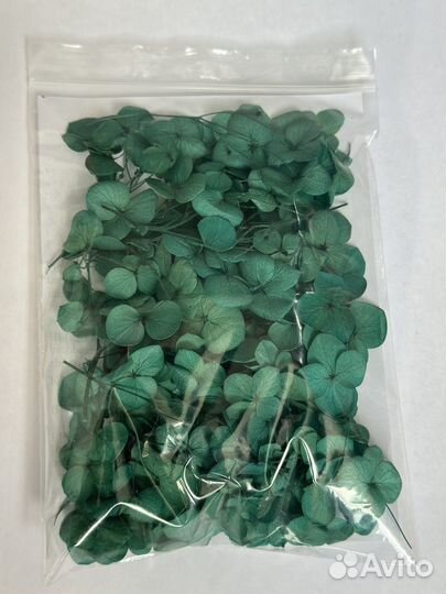 Сухоцветы для творчества/декора свечей/мыла