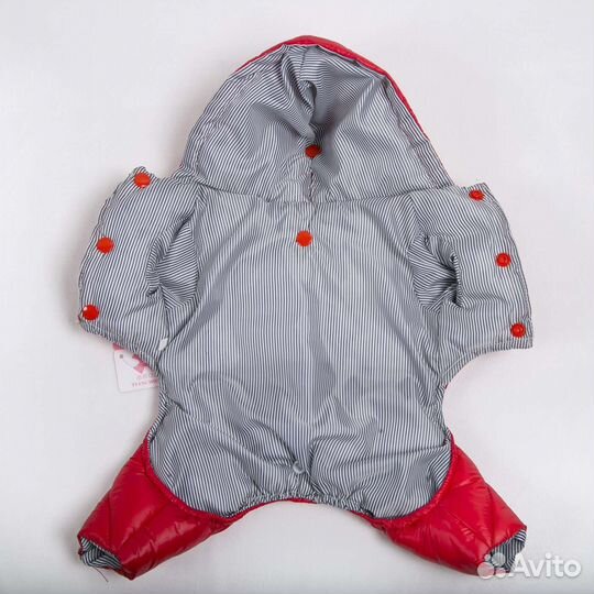 Одежда для маленьких пород собак