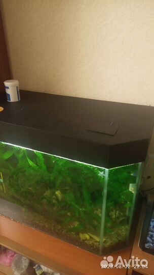 Аквариум