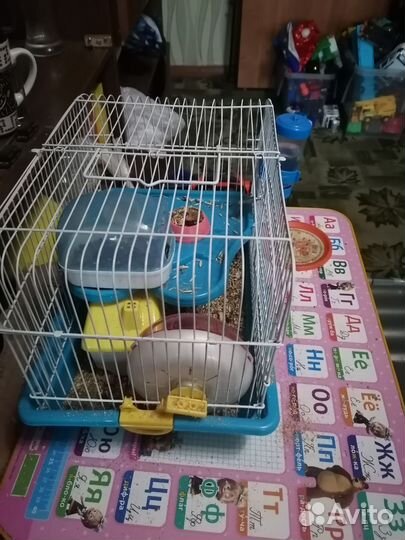 Джунгарский хомяк с клеткой