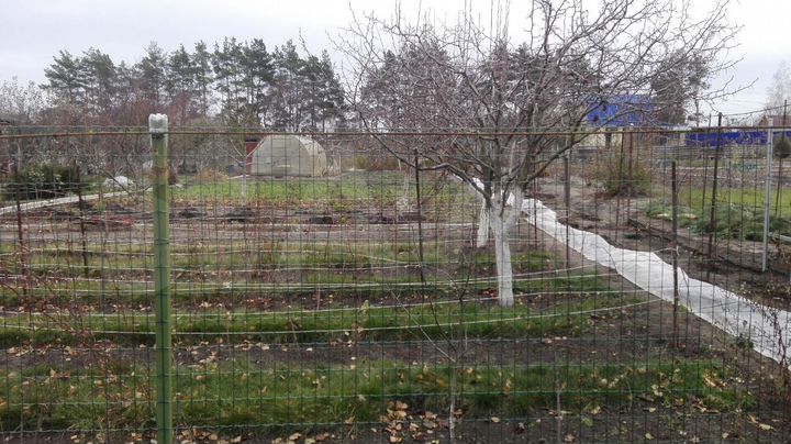 Дача 59,3 м² на участке 12 сот.