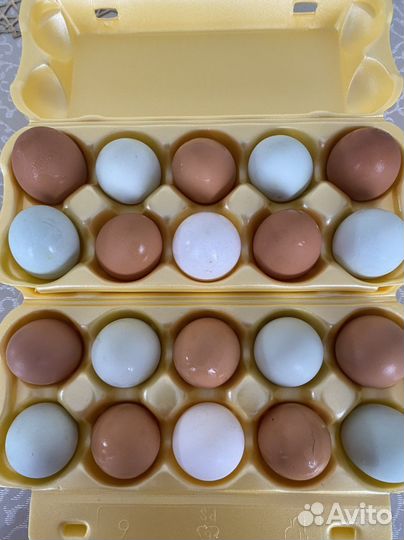 Яйца перепелиные и куриные