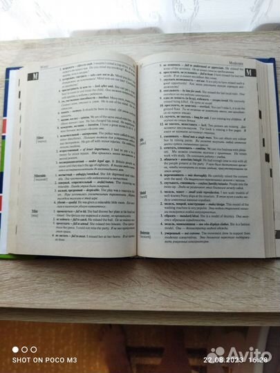 Англо-русский словарь многозначных слов. Литвинов