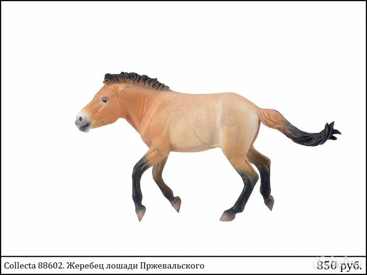 Животные Schleich и Collecta (Новые)