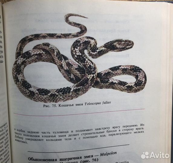 Ядовитые животные и растения СССР. 1990