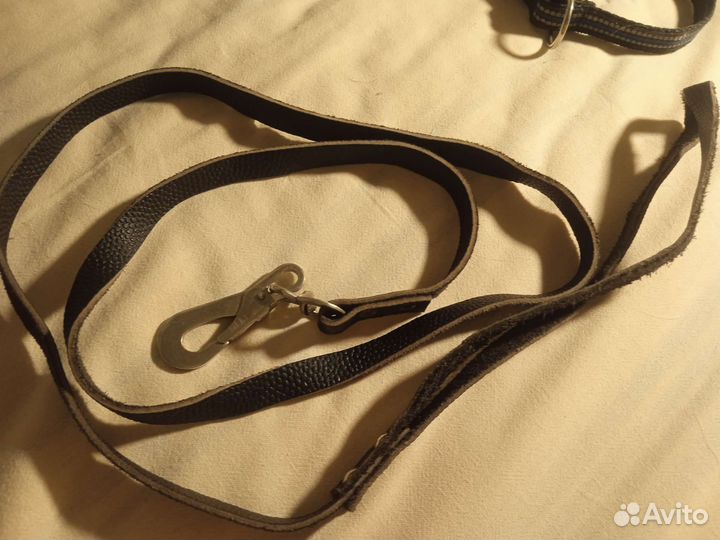 Ошейник и поводок для маленькой собаки или щенка