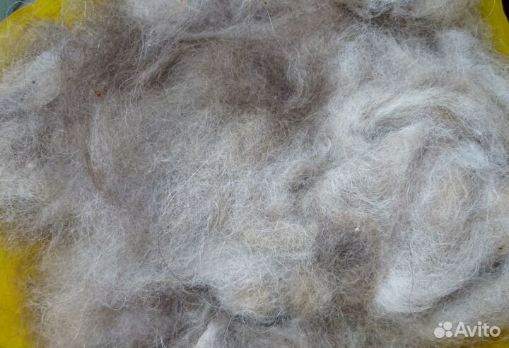 Собачья шерсть