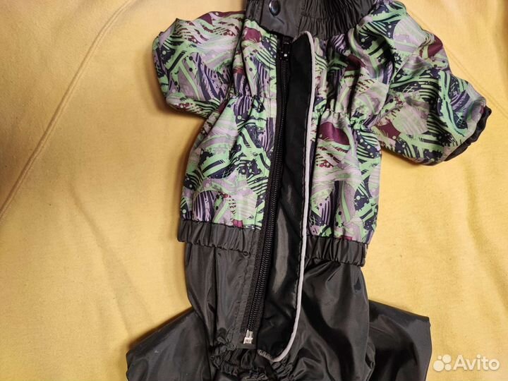 Дождевик для маленькой собаки, кобель