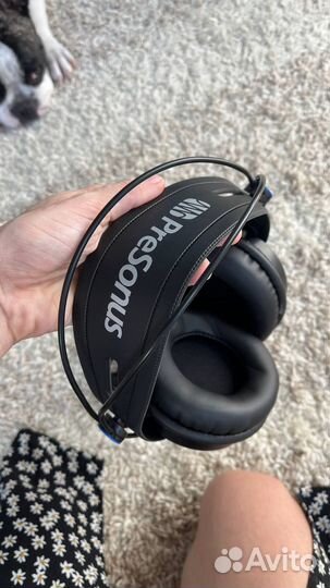 PreSonus HD7 студийные мониторные наушники