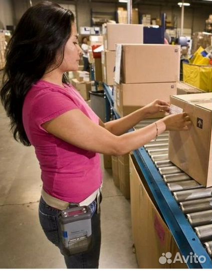 Берем снг.Любые графики.Кормим.Служ.трансп.Сборщик