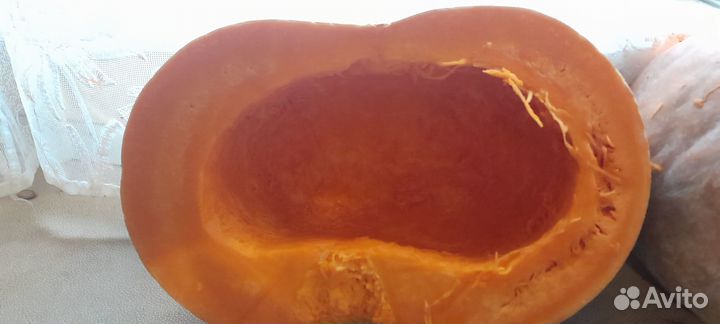 Семена помидор, огурцов, тыкв, кабачков, перца