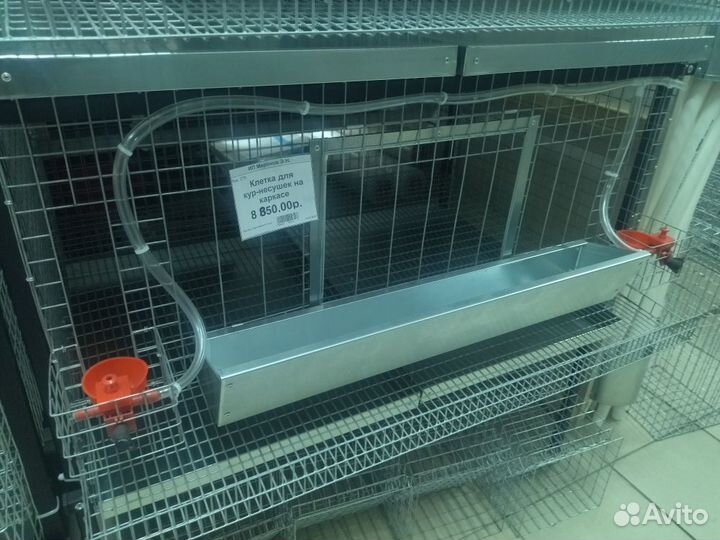 Клетки для кур молодняка, бройлеров и несушек