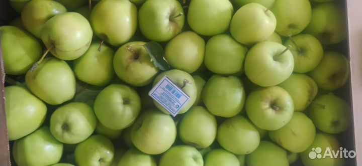 Яблоки оптом