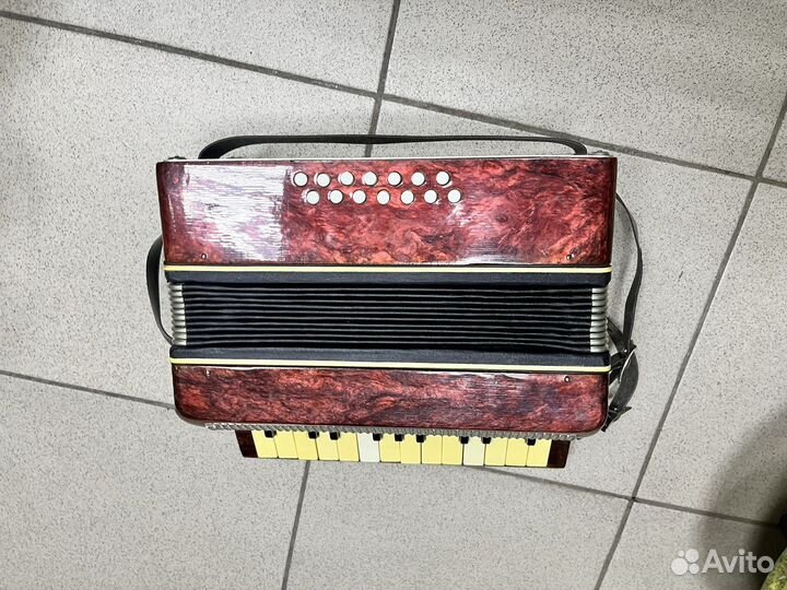 Аккордеон малыш