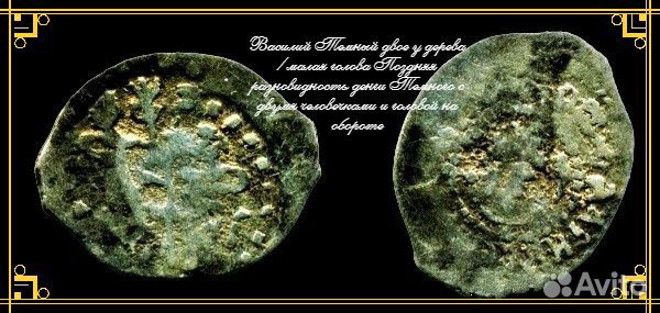 Чешуя удельная Темный нечастая